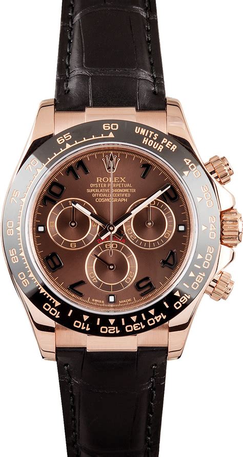 rolex daytona damenuhr|rolex daytona watches.